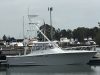 MINKE (Assegai 40 Express)